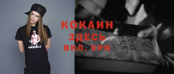 метадон Алексин