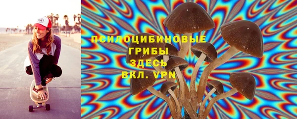 метадон Алексин
