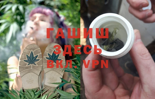 мяу мяу мука Алзамай