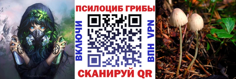 Купить  Балахна  Псилоцибиновые грибы мухоморы 